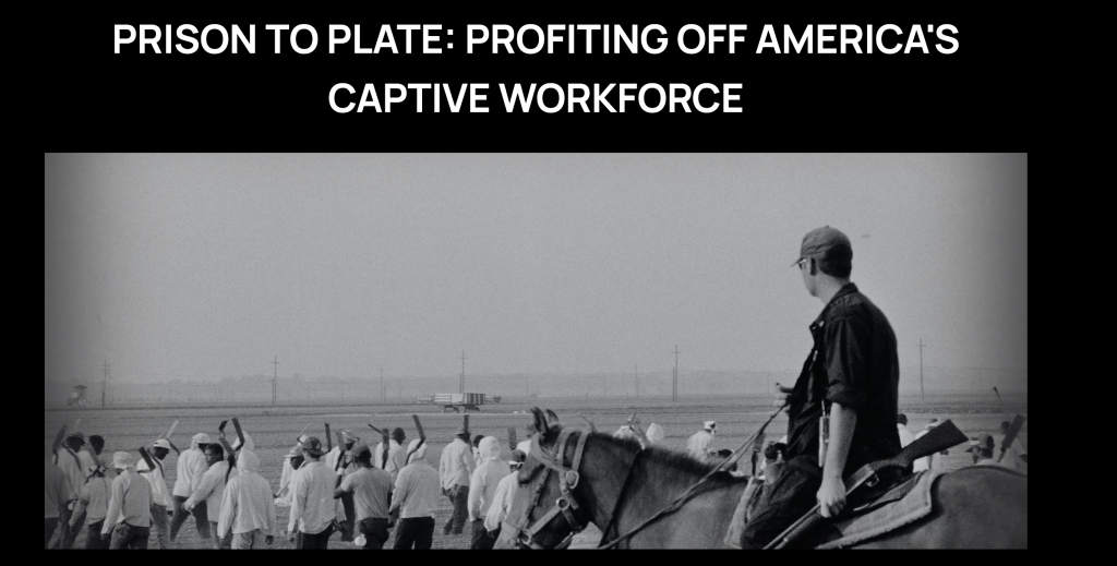 Prison to Plate: Profiting Off America's Captive Workforce