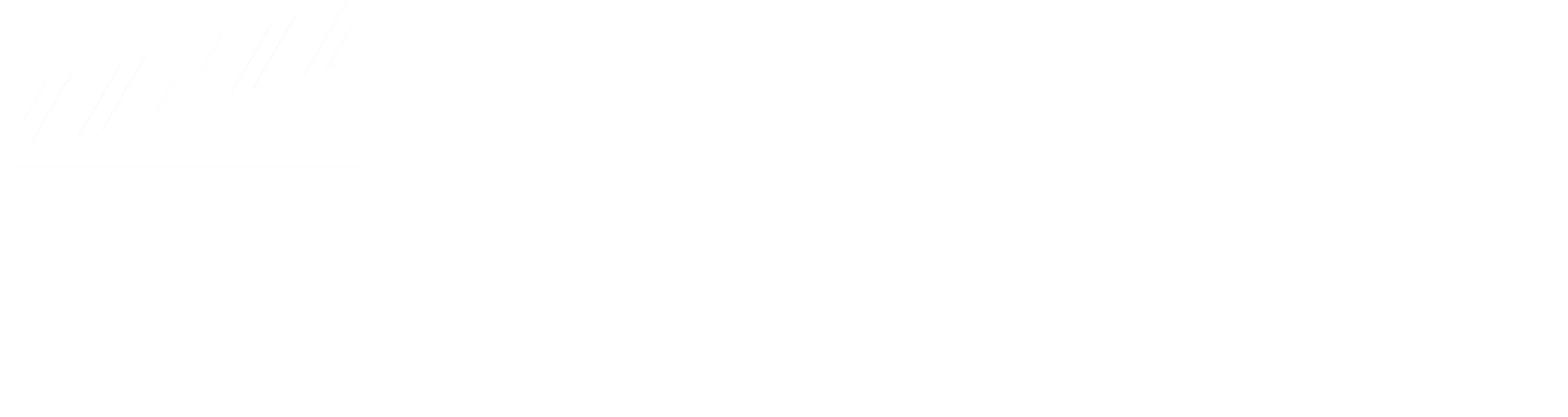Orange and Blue Film Festival