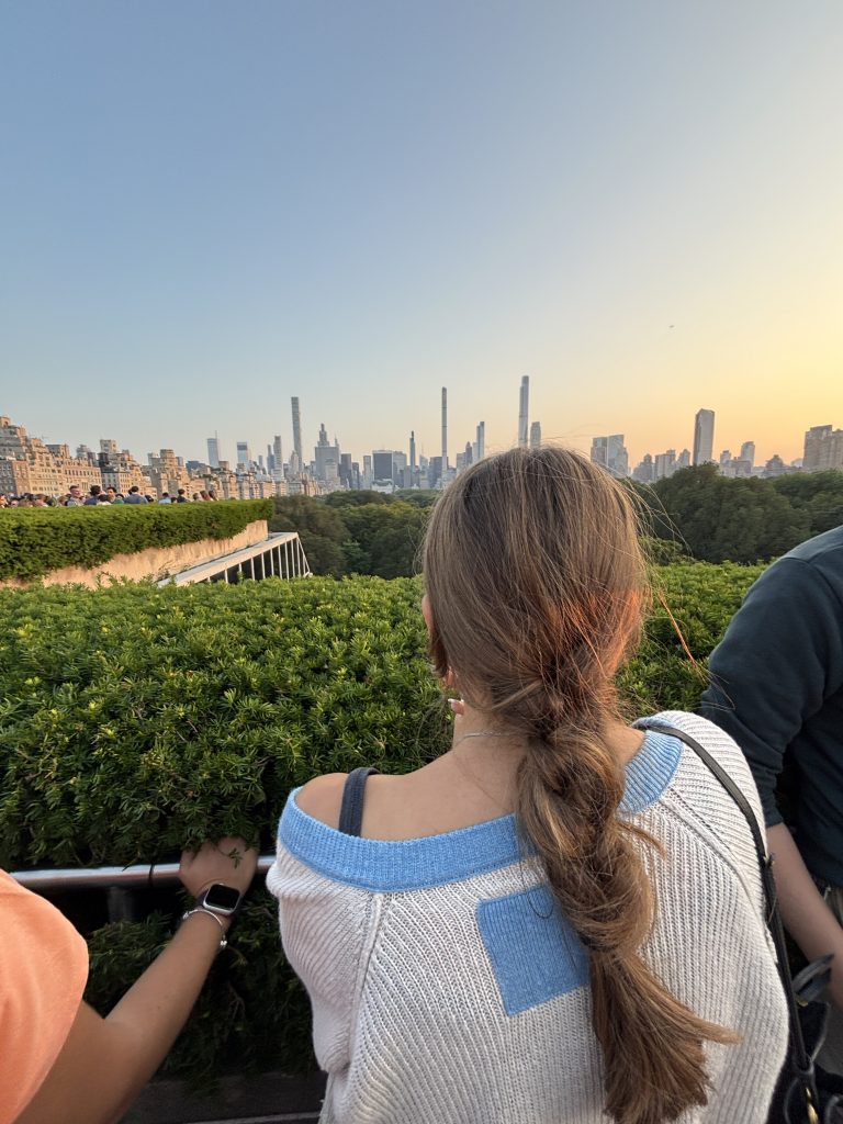 Enjoying the MET galleries and rooftop.