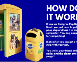 Mars Experiential & Pedigree by Miguel Correa, Elizabeth Wagner & Katherine George