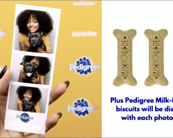 Mars Experiential & Pedigree by Miguel Correa, Elizabeth Wagner & Katherine George