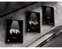 World Wildlife Federation Going Gone by Katherine Shine