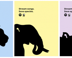 World Wildlife Federation x Spotify by Sam Hawkins